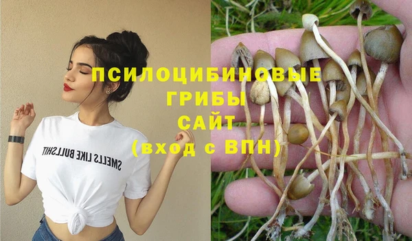 индика Алексин