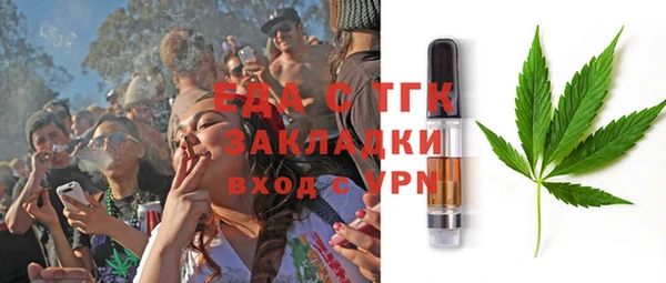 индика Алексин