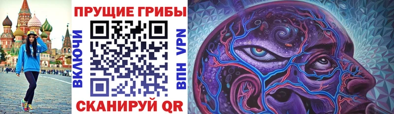 kraken онион  Райчихинск  маркетплейс клад  Галлюциногенные грибы мухоморы 